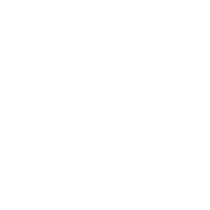 Blur overlay
